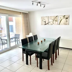 Sauvignon Centrum Met Garagestaanplaats Ostende